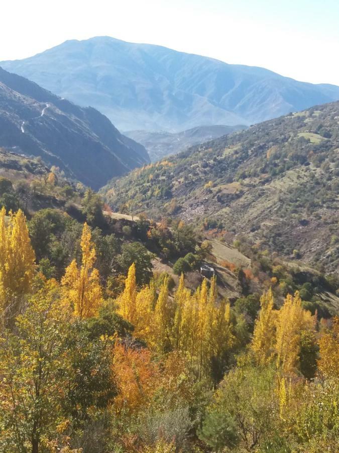 Casa Mirador De Maria Daire Capileira Dış mekan fotoğraf